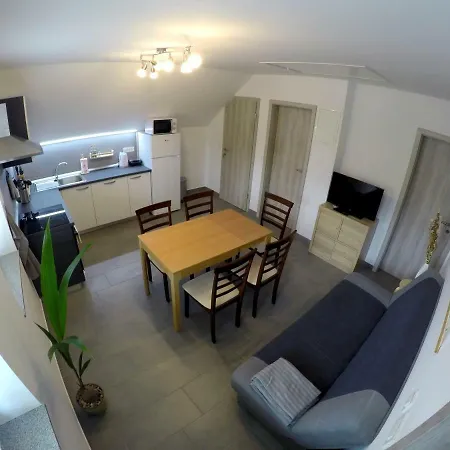 Konukevi The Jungle And