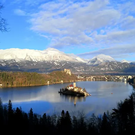 Hiša za goste The Jungle And Bled