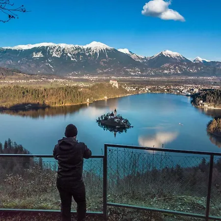 The Jungle And Hiša za goste Bled