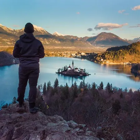 The Jungle And * Bled
