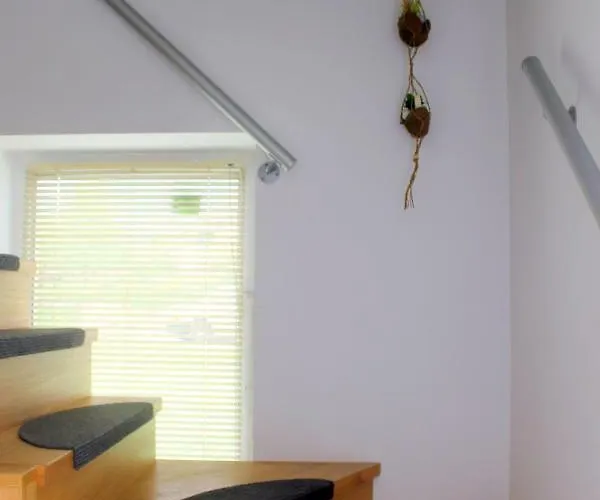 The Jungle And 3* Μπλεντ