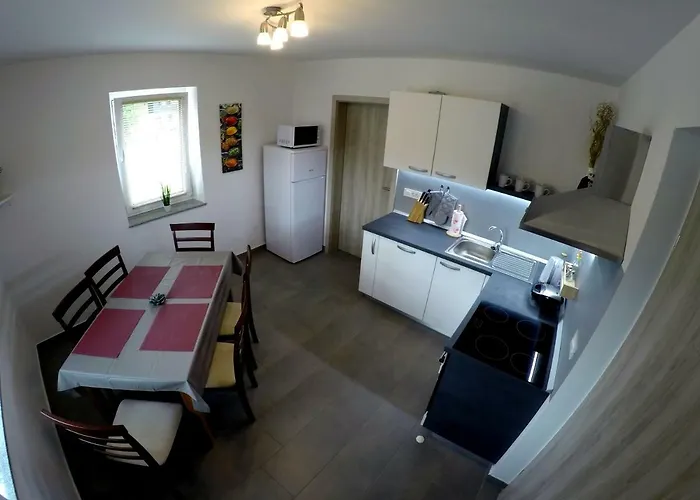 The Jungle And Πανσιόν Μπλεντ