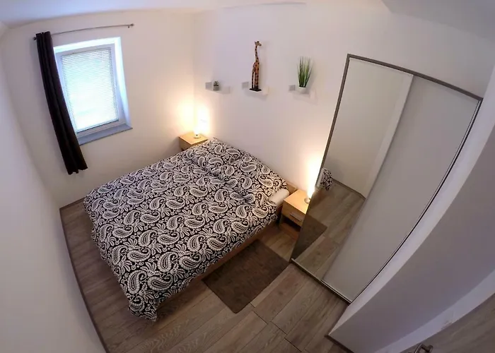 The Jungle And Πανσιόν 3*