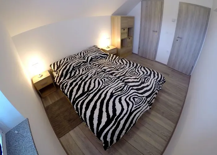 The Jungle And Πανσιόν Μπλεντ