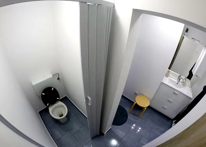 Πανσιόν The Jungle And