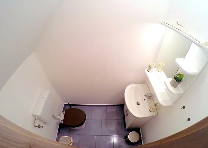 The Jungle And Πανσιόν