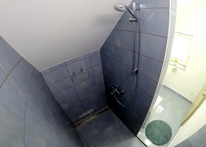 The Jungle And Penzion Bled