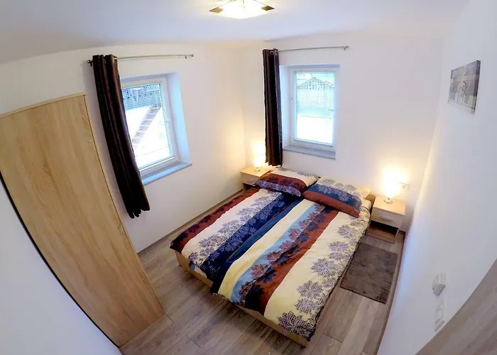 The Jungle And Penzion 3*