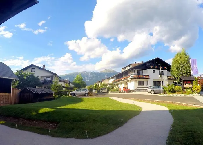 The Jungle And Πανσιόν