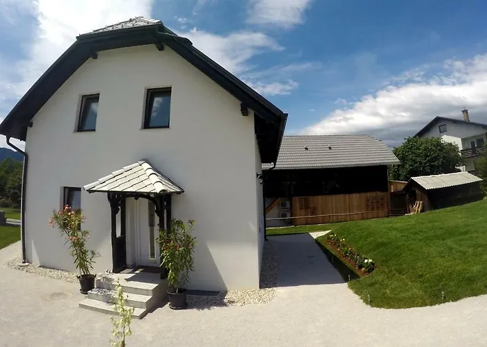 The Jungle And Πανσιόν