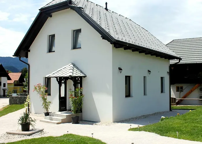 The Jungle And Penzion Bled