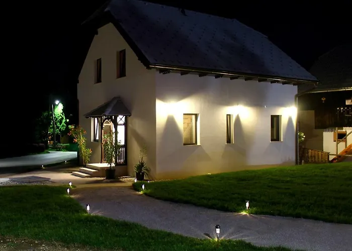 Πανσιόν The Jungle And