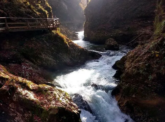 The Jungle And Πανσιόν 3*