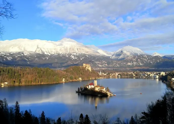 Penzion The Jungle And Bled