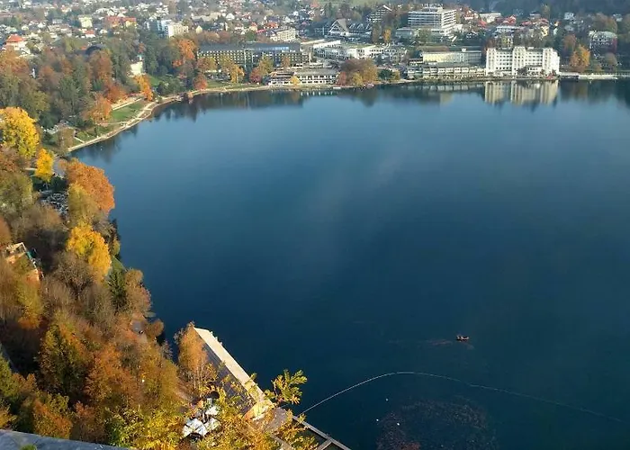 Penzion The Jungle And