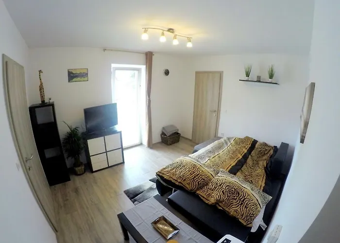 Πανσιόν The Jungle And 3*