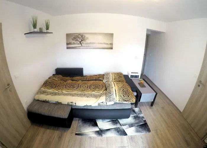 The Jungle And Penzion