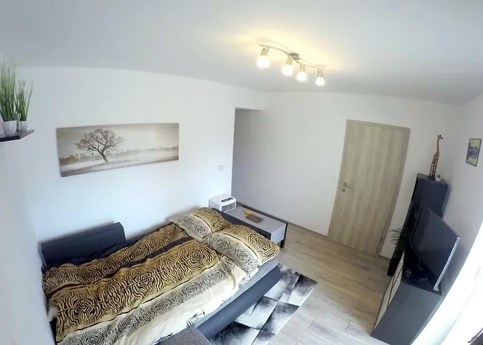 Πανσιόν The Jungle And 3*