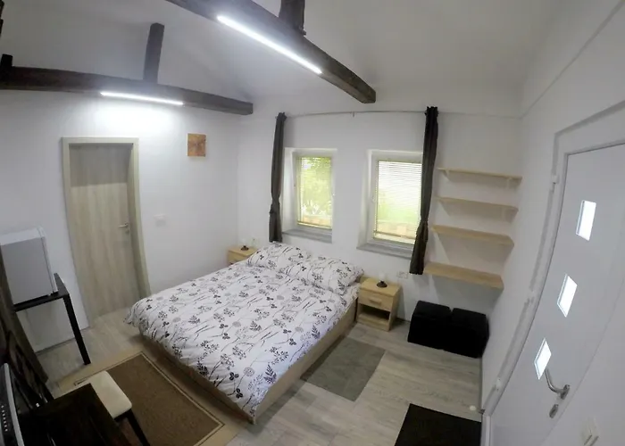 Πανσιόν The Jungle And 3*