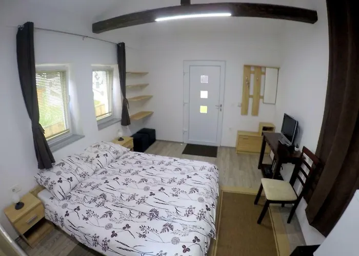 The Jungle And 3* Bled