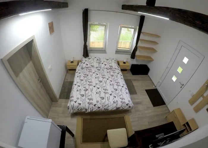 The Jungle And Πανσιόν