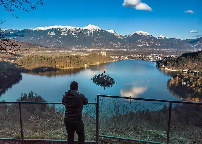 The Jungle And Πανσιόν Μπλεντ