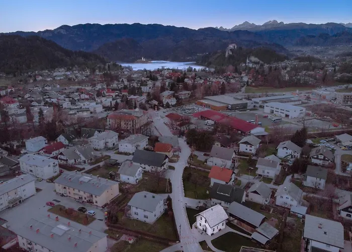 The Jungle And Πανσιόν