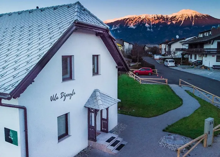 The Jungle And Penzion