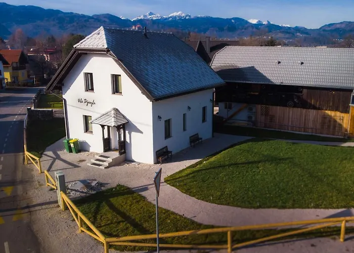 Penzion The Jungle And