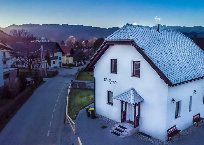 Penzion The Jungle And Bled