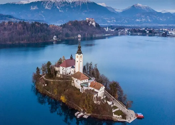 The Jungle And Penzion