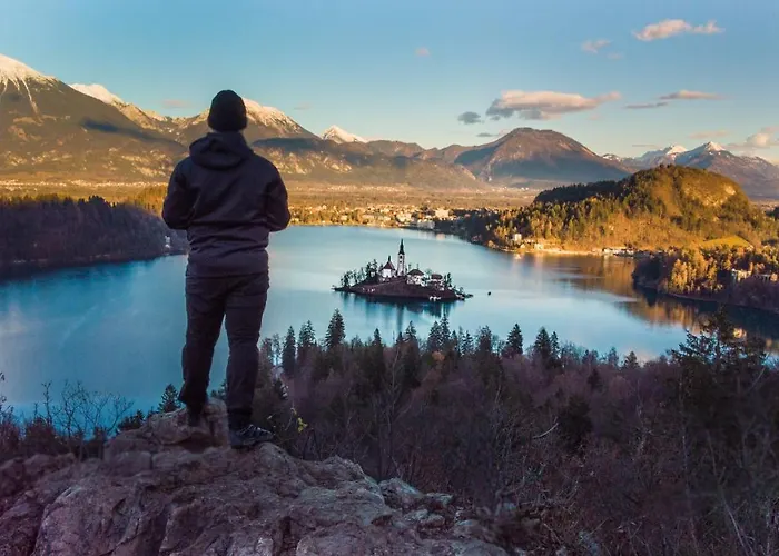 The Jungle And 3* Bled